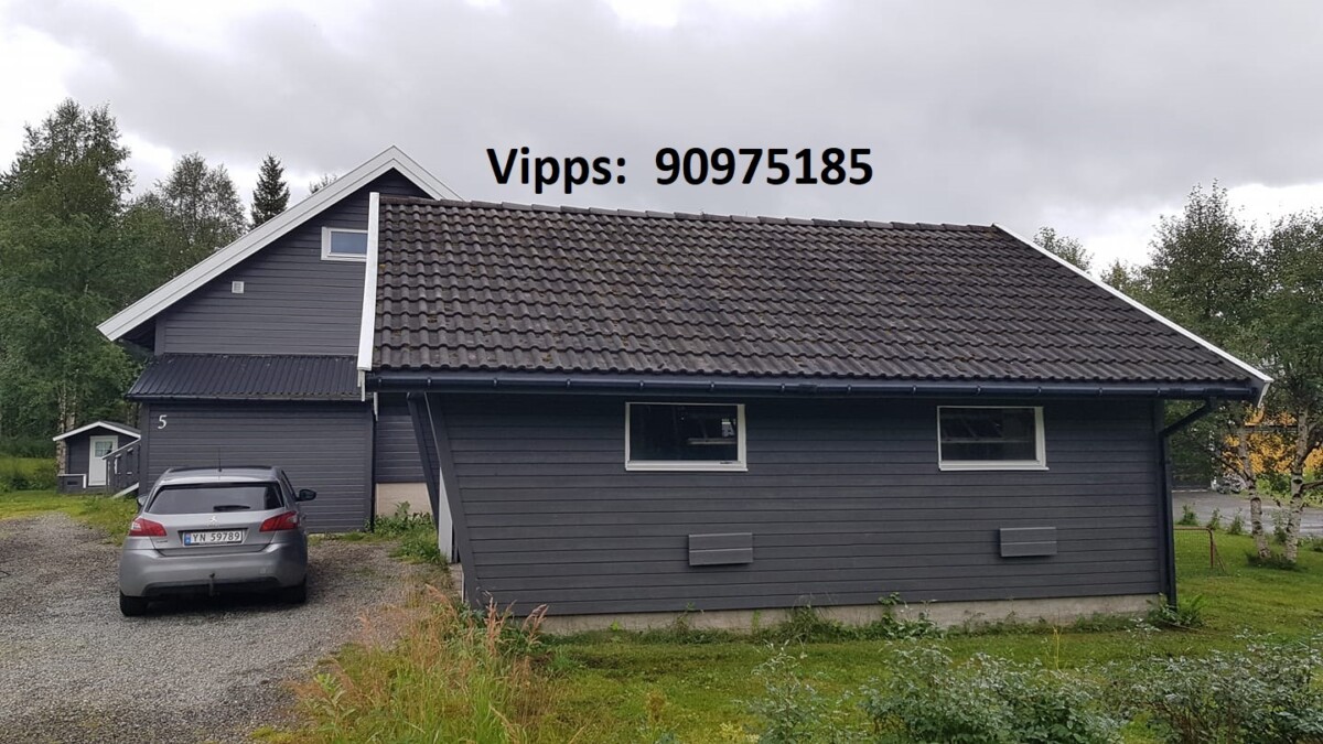 Liveien5butikken-1200x675